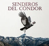 Senderos del Cóndor